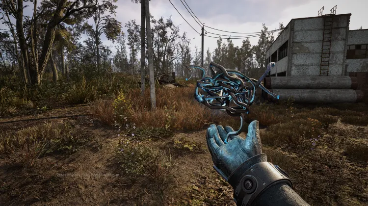 Artefact Roi des Rats