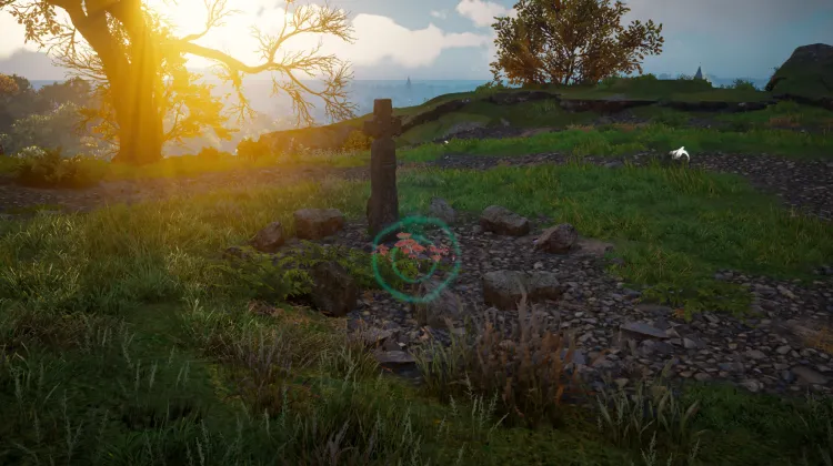 Sous-catégorie sans titre