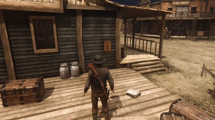 Armadillo Wanted Poster