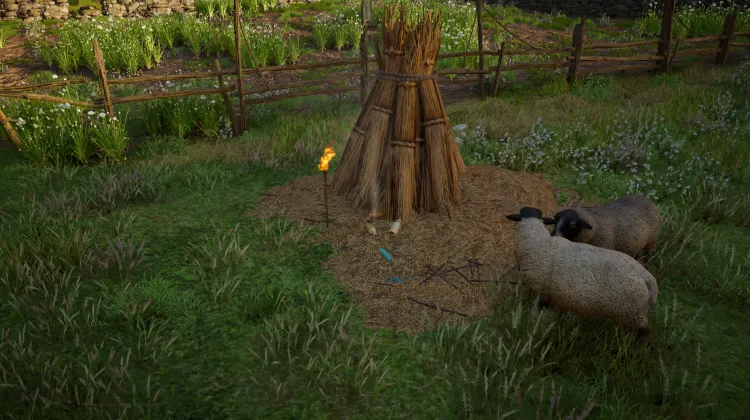 Schäferhaus-Türschlüssel