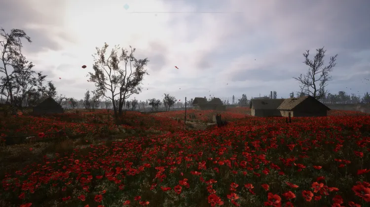 Le Champ de Coquelicots