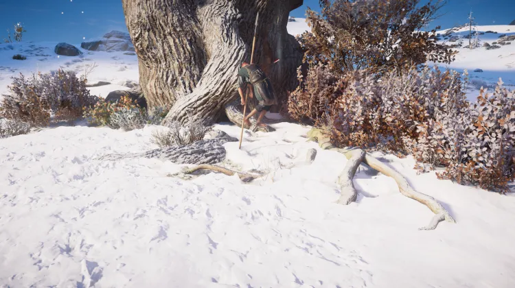 Schlüssel zum Berserkerhaus