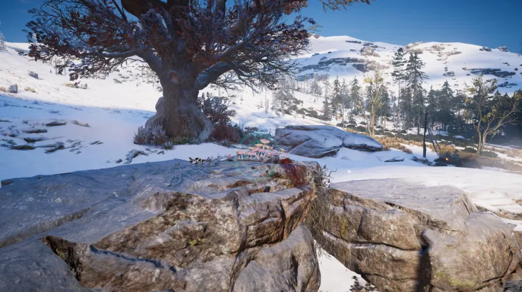 Sous-catégorie sans titre