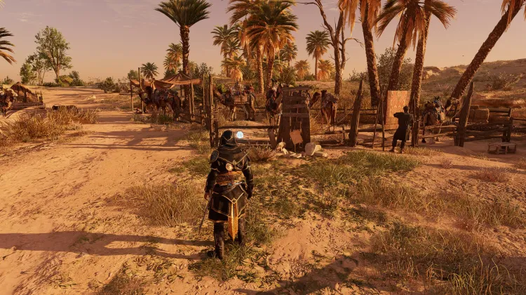 Historische Stätte - Kamele