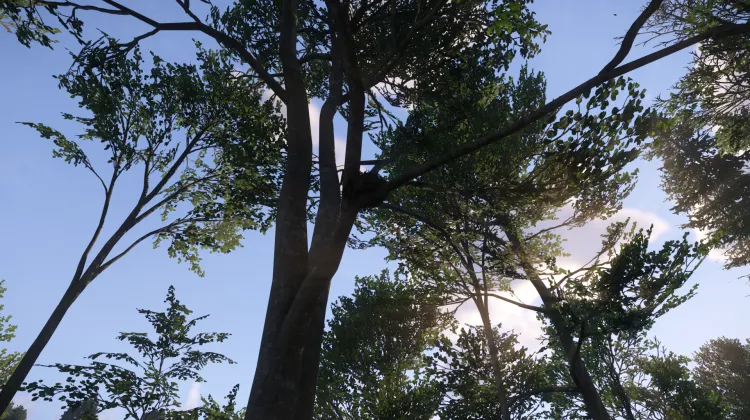 Sous-catégorie sans titre