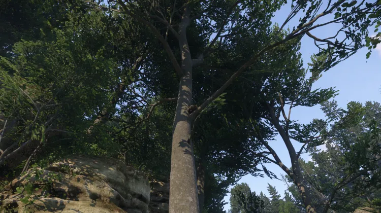 Sous-catégorie sans titre