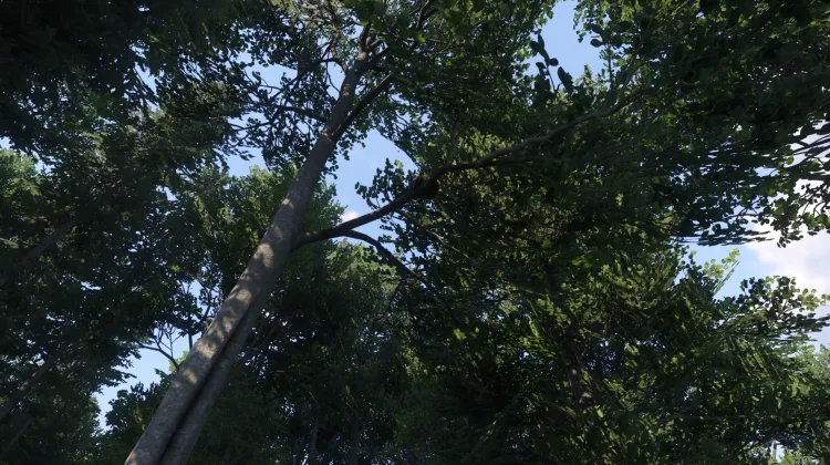 Sous-catégorie sans titre