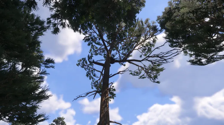 Sous-catégorie sans titre