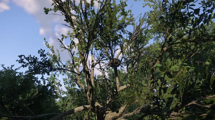 Sous-catégorie sans titre