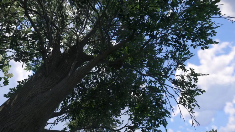 Sous-catégorie sans titre