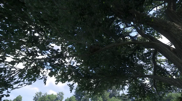 Sous-catégorie sans titre