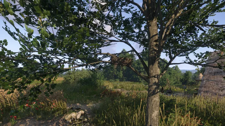 Sous-catégorie sans titre