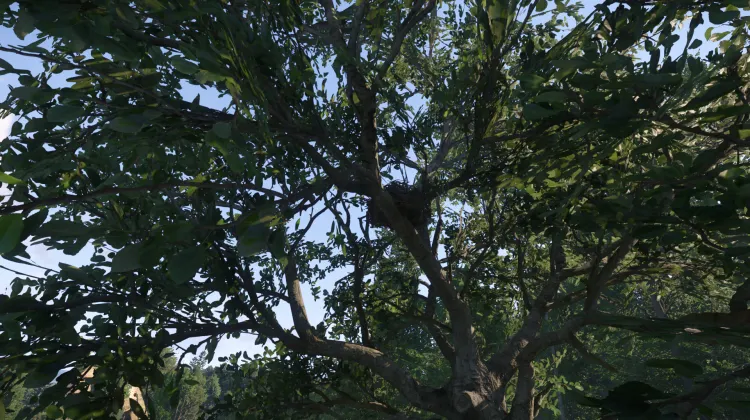 Sous-catégorie sans titre