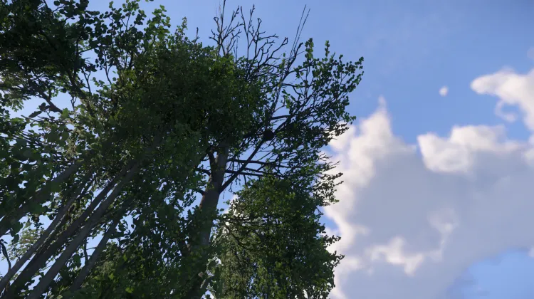 Sous-catégorie sans titre