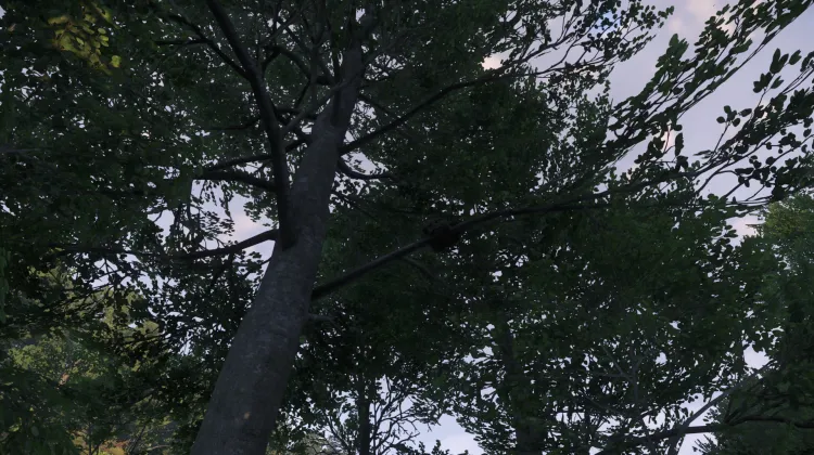 Sous-catégorie sans titre