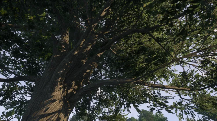 Sous-catégorie sans titre