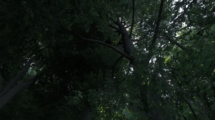 Sous-catégorie sans titre