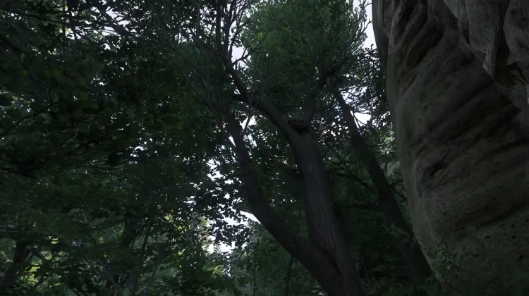 Sous-catégorie sans titre