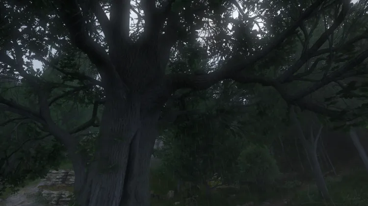 Sous-catégorie sans titre