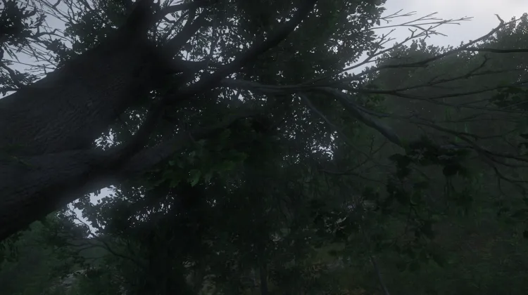 Sous-catégorie sans titre