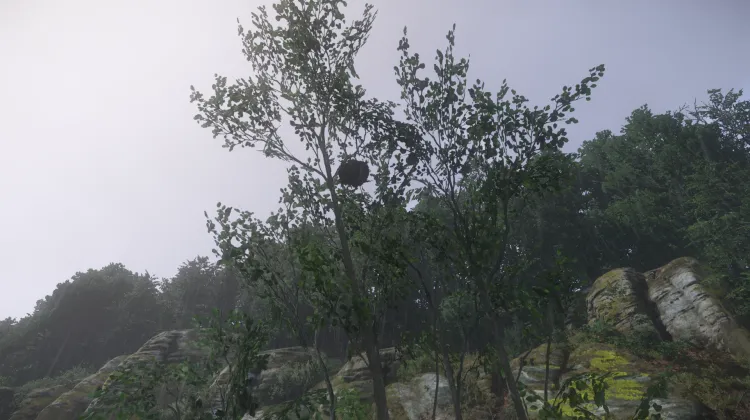 Sous-catégorie sans titre