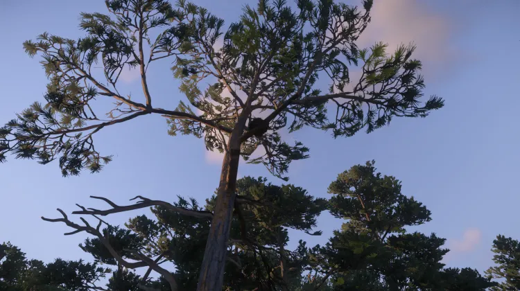 Sous-catégorie sans titre