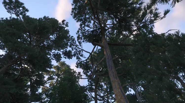 Sous-catégorie sans titre