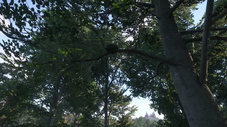 Sous-catégorie sans titre