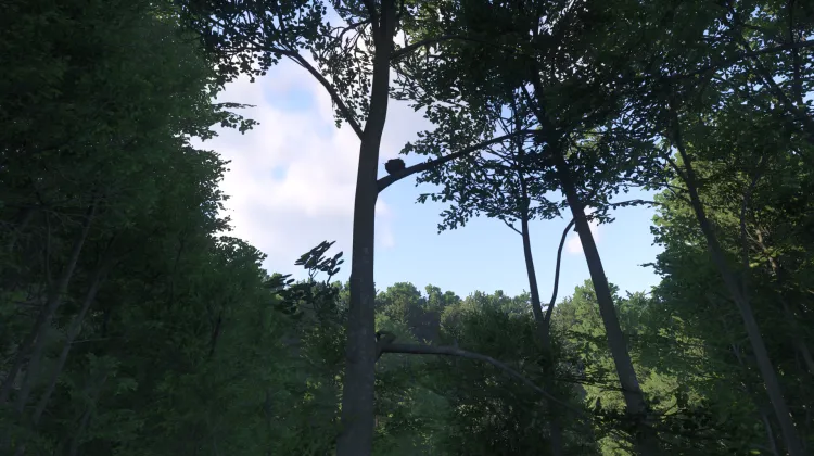 Sous-catégorie sans titre