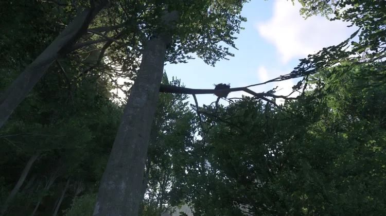 Sous-catégorie sans titre