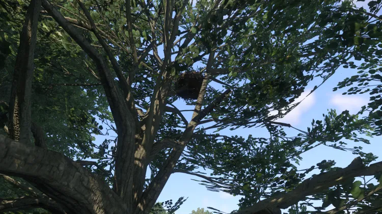 Sous-catégorie sans titre