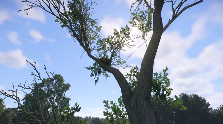 Sous-catégorie sans titre