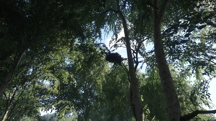 Sous-catégorie sans titre