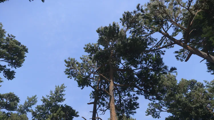 Sous-catégorie sans titre