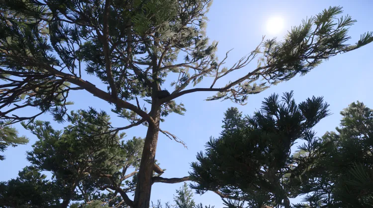 Sous-catégorie sans titre