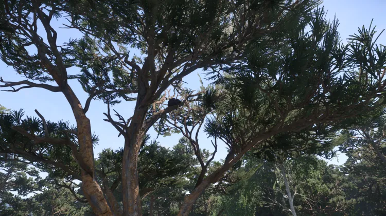 Sous-catégorie sans titre