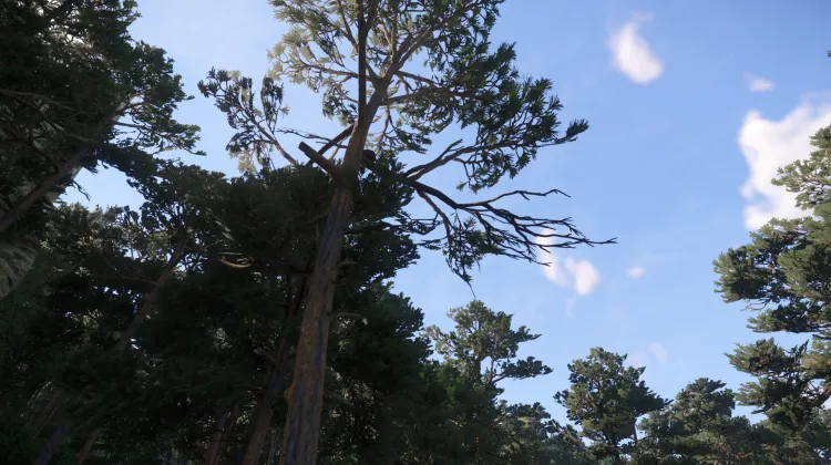 Sous-catégorie sans titre