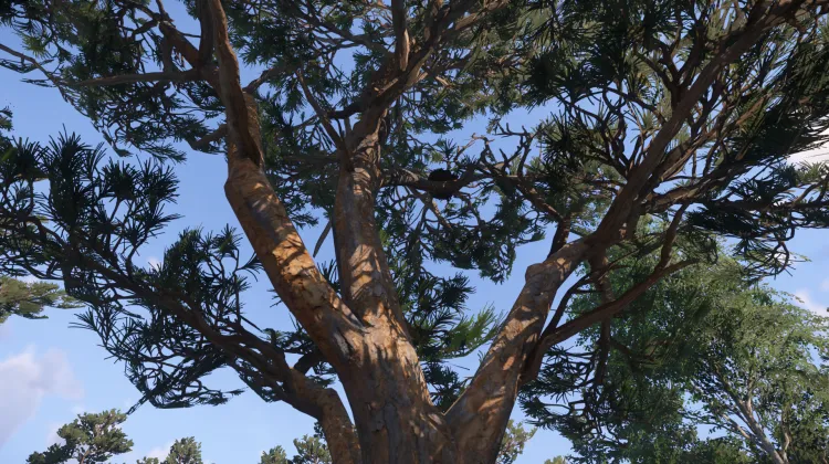 Sous-catégorie sans titre