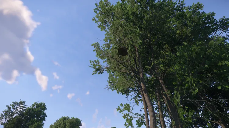 Sous-catégorie sans titre