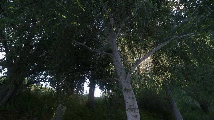 Sous-catégorie sans titre