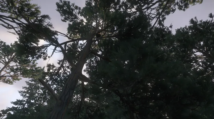 Sous-catégorie sans titre