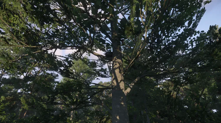 Sous-catégorie sans titre