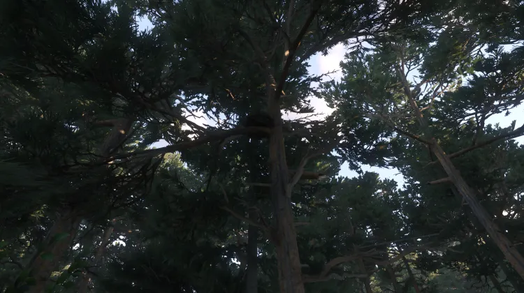 Sous-catégorie sans titre