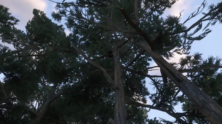 Sous-catégorie sans titre