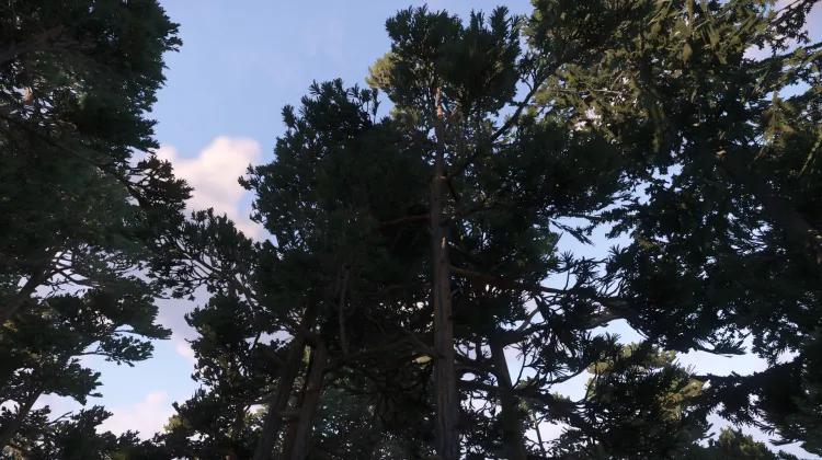 Sous-catégorie sans titre