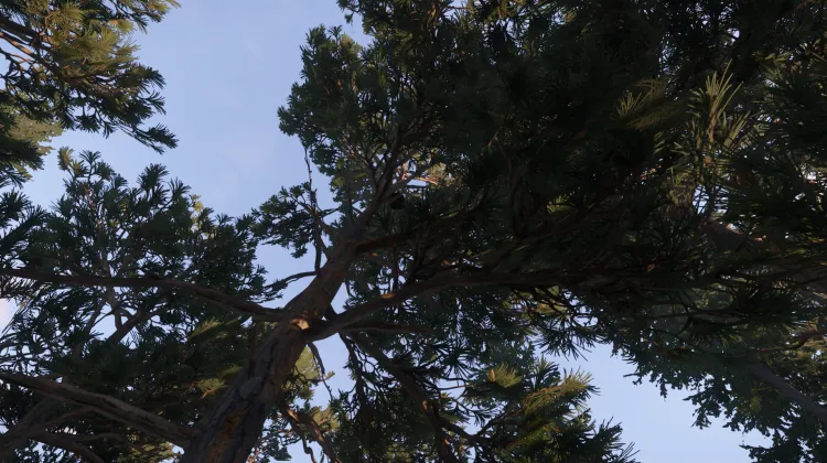 Sous-catégorie sans titre