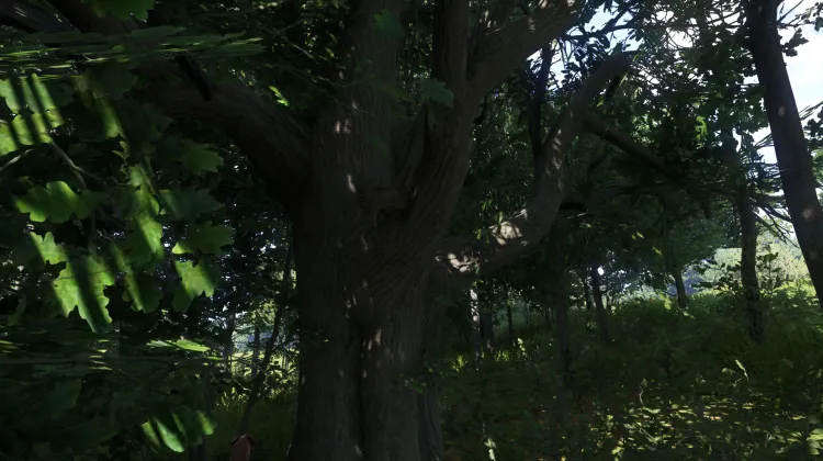 Sous-catégorie sans titre