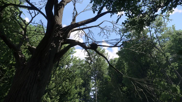 Sous-catégorie sans titre