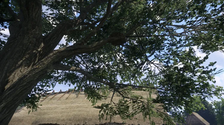 Sous-catégorie sans titre