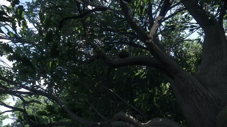 Sous-catégorie sans titre